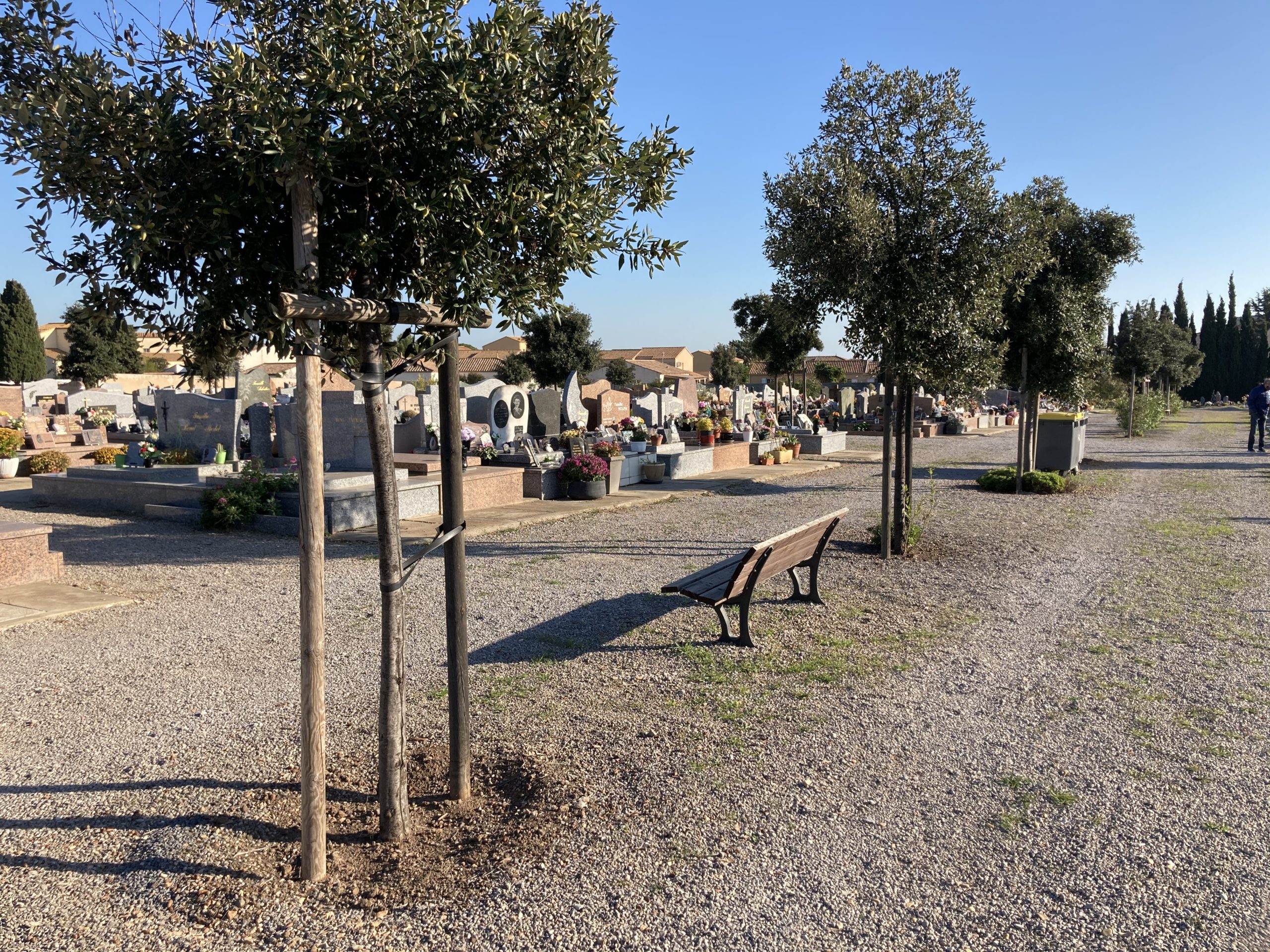 Photo allée du cimetière de Frontignan